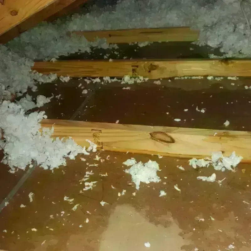 Attic Water Damage in Lorena, TX