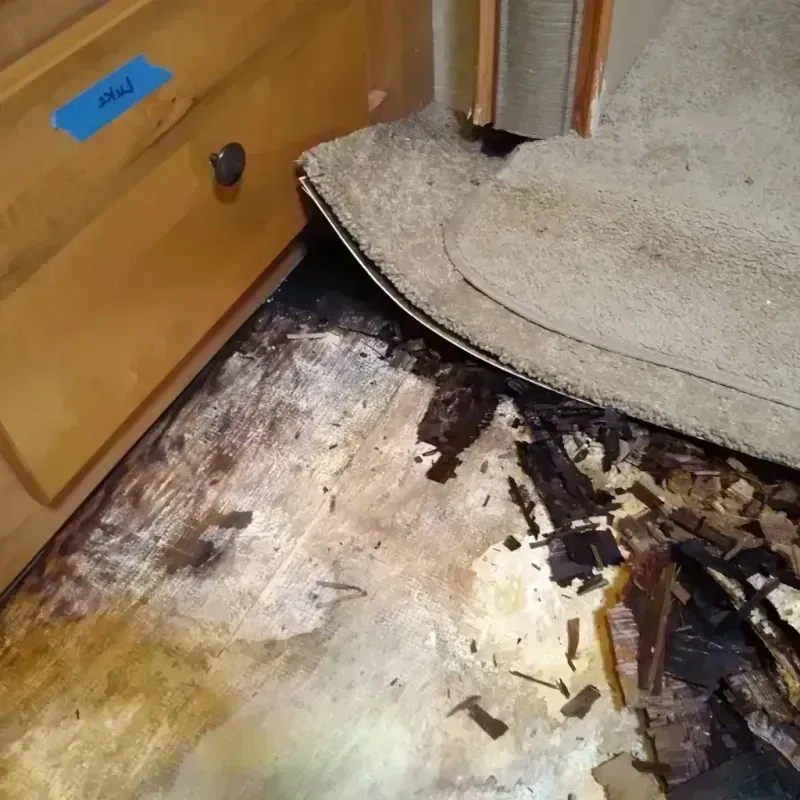 Wood Floor Water Damage in Lorena, TX